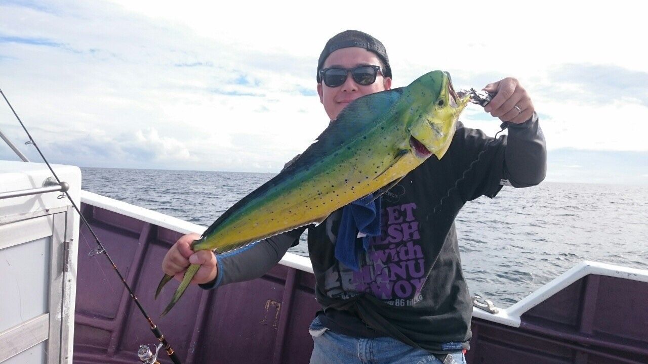 釣行報告 オフショア入門に 昼前から狙うルアーシイラ 優神丸 浅ブロソルト